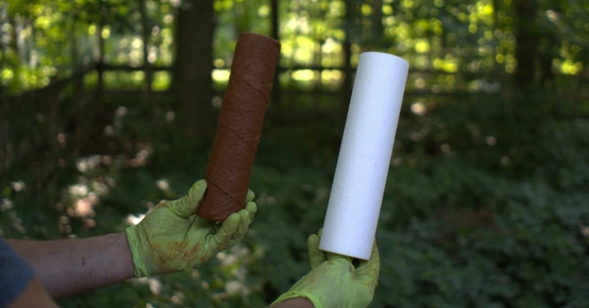 Types of Water Filters